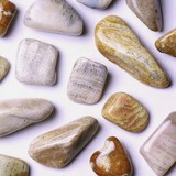 Corail fossile Chakra racine - MULADHARA - Os, dents, peur, protection