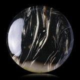 Foraminifera gemstone