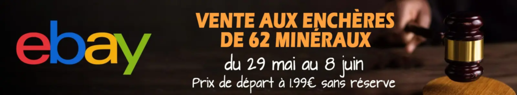 Banniere enchères ebay