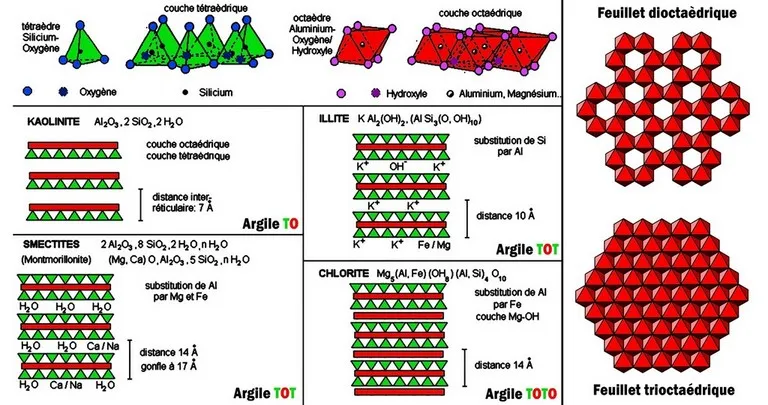 Structure des phyllosilicates (micas et argiles)