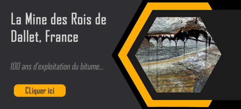 Bouton mine des rois de Dallet