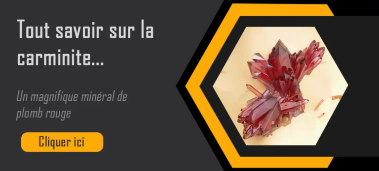 Bouton carminite