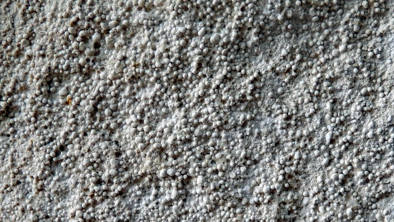 Calcaire oolithique Bajocien