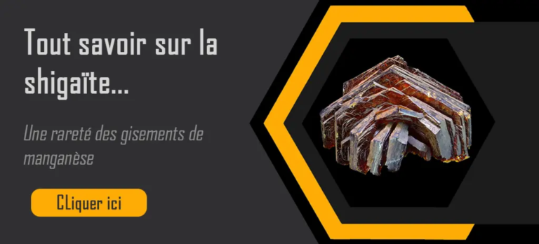bouton shigaïte
