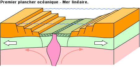 Rift océanique