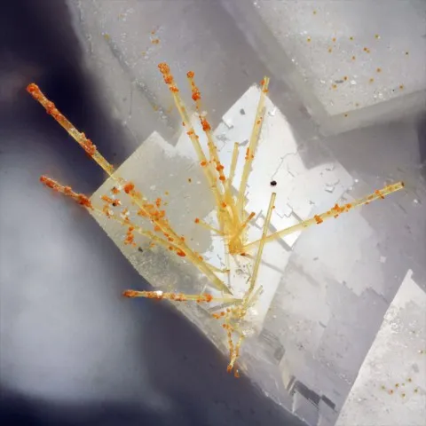 Aeschynite-(Y) sur dolomite de Trimouns, Ariège, France © Michel Bretheau