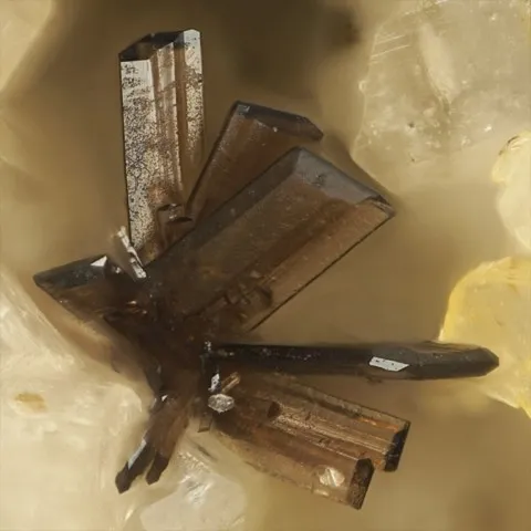 Aeschynite-(Y) de Mätti Valley, Valais, Suisse © Stephan Wolfsried