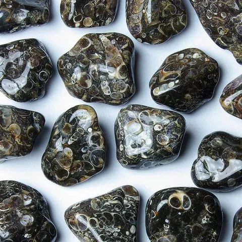 Agate à turritelles Chakra racine - MULADHARA - Chakra du plexus solaire - MANIPURA - Dos, crampes, maux de tête, digestion, estomac, foie, fertilité, amour