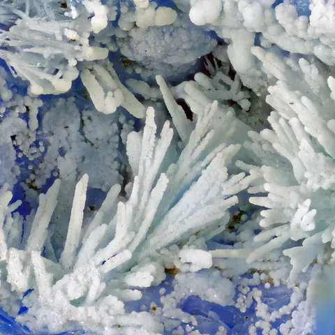 Aluminohydrocalcite de Valcroze, Gard, France - © François Le Gaillard 