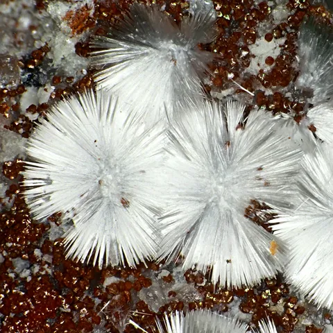 Aluminohydrocalcite des Mas Dieu, Gard, France - © Joachim Esche