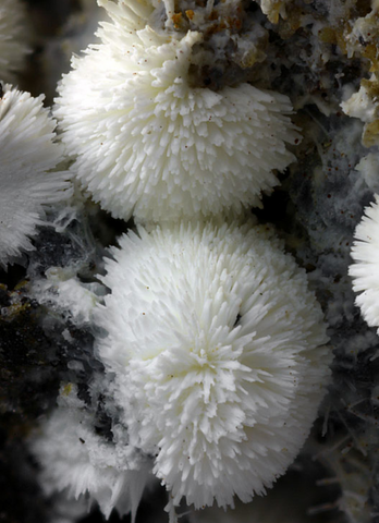 Alumohydrocalcite de la carrière Graulay, Allemagne © Matteo Chinellato