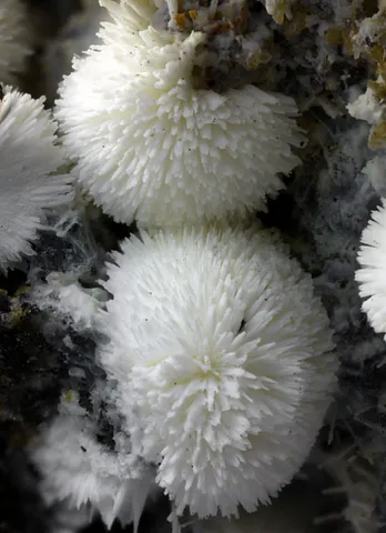Alumohydrocalcite de la carrière Graulay, Allemagne © Matteo Chinellato