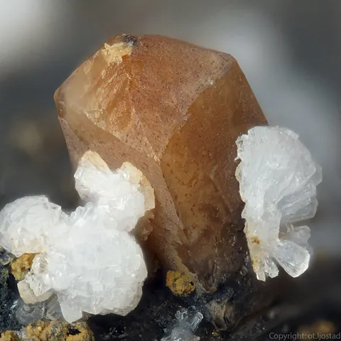 Ancylite brune de Almenningen Quarry, Larvik, Norvège © OT Ljostad