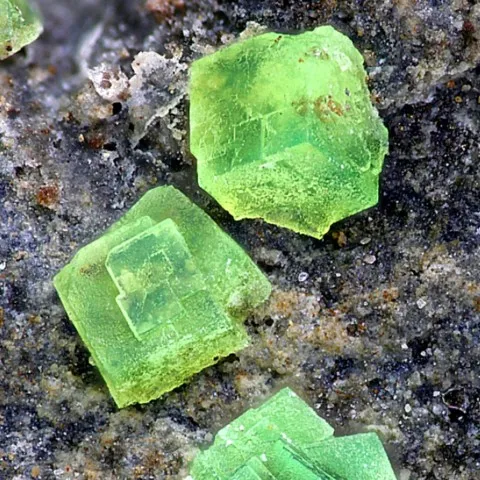 Andersonite de Bukov Mine, République Tchèque - © Serge Lavarde et collection Luigi Chiappino