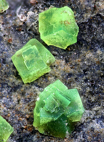 ndersonite de Bukov Mine, République Tchèque - © Serge Lavarde et collection Luigi Chiappino