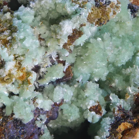 Annabergite de la Mine de la Rabasse, Hérault, France - © Fabrice Moreau