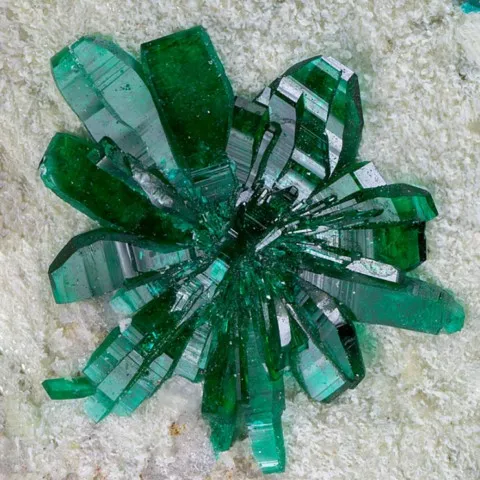 Antlérite de Blanchard Mine, Nouveau-Mexique, USA © Ray Demark