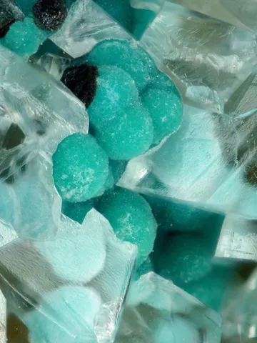 Apachite et calcite de la Mine Christmas, Arizona, USA - © Stephan Wolfsried