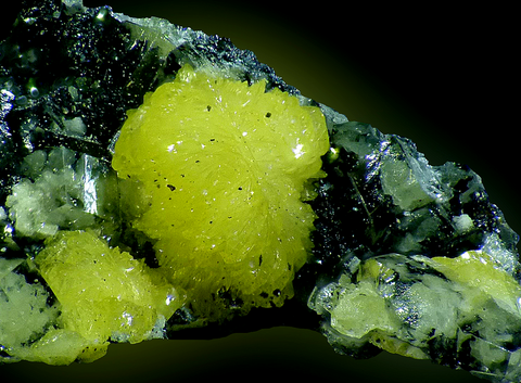 Arsendescloizite de Tsumeb Mine, Namibie © Paul de Bondt