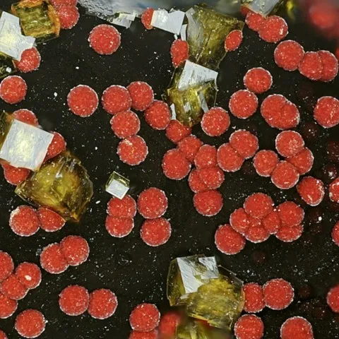 Arséniosidérite et bariopharmacosidérite de Clara Mine, Allemagne © Michael Förch