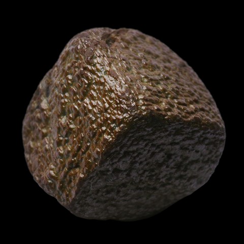Diamant brut de 41,57 ct - Miba Mine, Mbuji Mayi, Congo