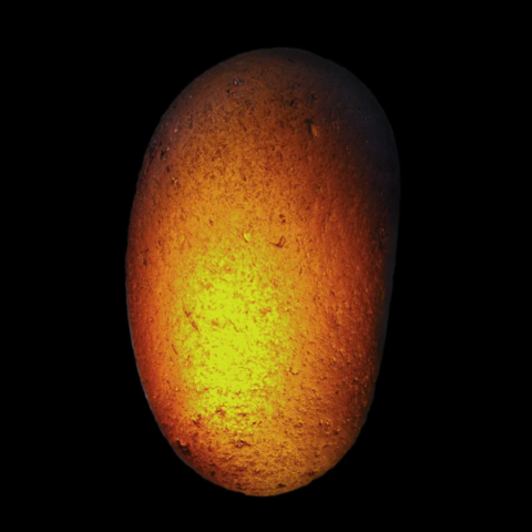 Dravite de Yinnietharra, Upper Gascoyne Shire, Australie