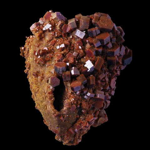 Vanadinite sur fossile de bivalve de Mibladen, Maroc