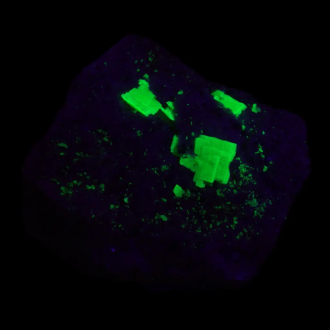 Autunite des Bois Noirs, Loire, France