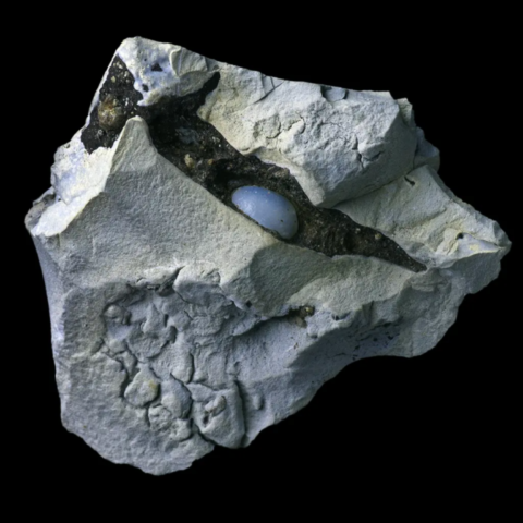 Lussatite du Puy de Crouel, Clermont-Ferrand, Puy-de-Dôme, France