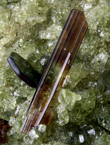 Baddeleyite Du Mont Somma, Naples, Italie © Chinellato Matteo