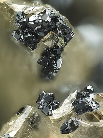 Barbosalite de la pegmatite de Sandamap, Dâures Constituency, Erongo, Namibie © Stephan Wolfsried