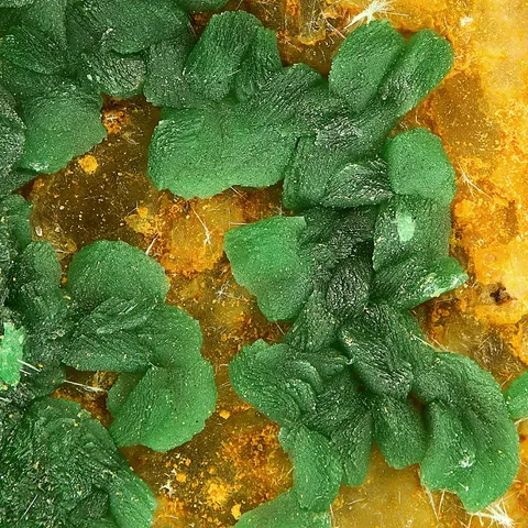Bayldonite de Cap Garonne, Var, France © Stephan Wolfsfried