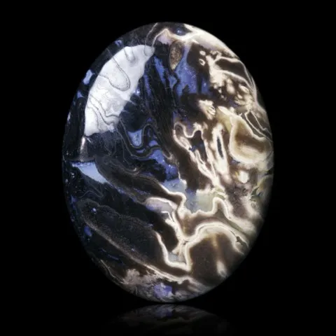 Bois de palmier fossile d'Indonésie en cabochon