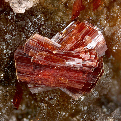 Beraunite de Rotläufchen Mine, Allemagne © Marko Burkhardt