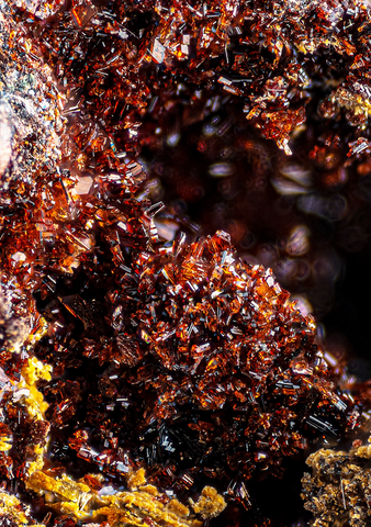 Bermanite de Jocão claim, Minas Gerais, Brésil © Gianfranco Ciccolini