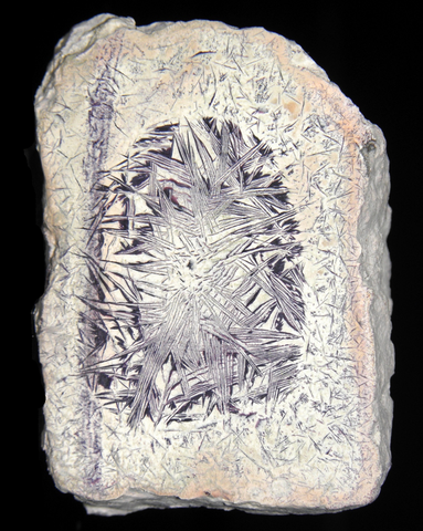 Nodule de bertrandite et fluorine (pierre Tiffany) de Spor Mountain, Utah, USA © Rick Dalrymple