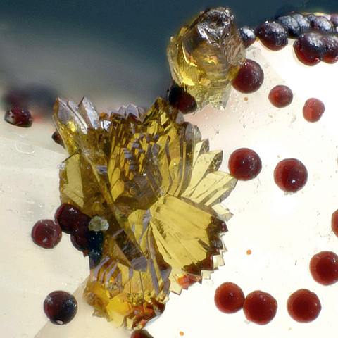 Beudantite de la Nuisière, Rhône, France © Pascal Chollet