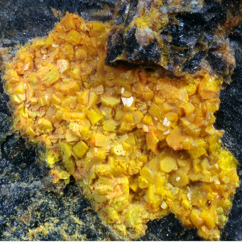 Billérite de Rendena Valley, Monte Toff, Italie © Italo Campostrini