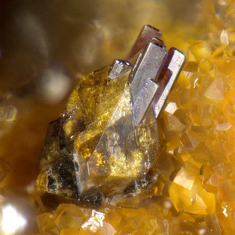 Brackebuschite & descloizite de Venus Mine, Cordoba, Argentine © Stephan Wolfsried