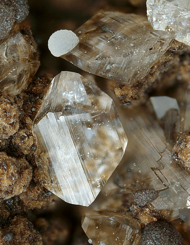 Brandtite de Harstigen Mine, Pajsberg, Suède © Marko Burkhardt