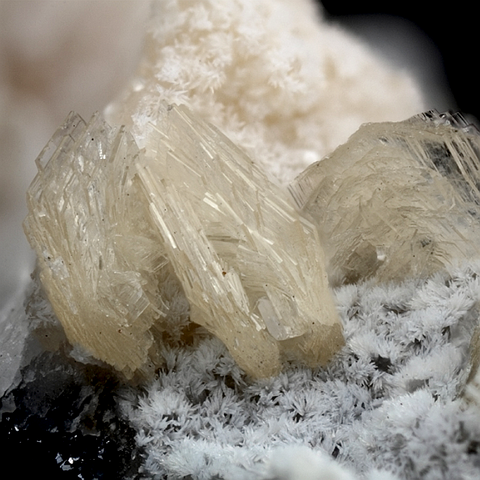 Brandtite de Fuchs Quarry, Hartkoppe, Bavière, Allemagne © Yannick Vessely