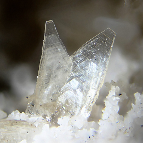 Brandtite de Fuchs Quarry, Hartkoppe, Bavière, Allemagne © Carsten Slotta