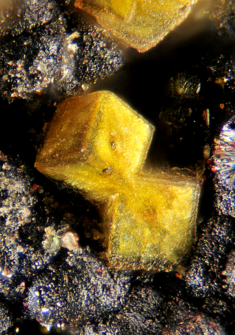 Bromargyrite de Schöne Aussicht Mine, Dernbach, Allemagne © Dario Cericola