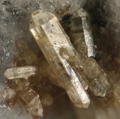 Burbankite de Poudrette Quarry, Mont St-Hilaire, Canada © Elmar Lackner