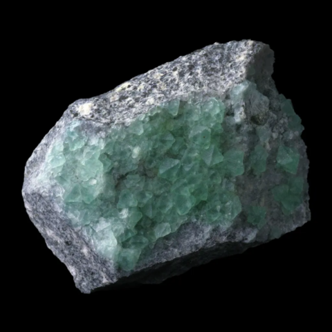 Fluorine de El Papiol, Espagne