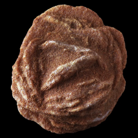 Baryte en rose des sables du Mont Kemkenia, Maroc