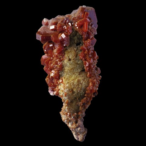 Vanadinite sur gastéropode fossile de Mibladen, Khénifra, Maroc