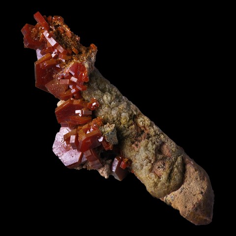 Vanadinite sur turritelle fossile de Mibladen, Khénifra, Maroc