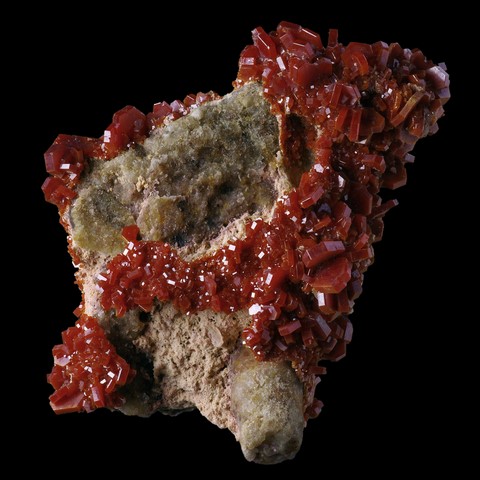 Vanadinite sur crinoïde fossile de Mibladen, Khénifra, Maroc