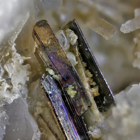 Calavérite de Ajax Mine, Colorado, USA © Carsten Slotta